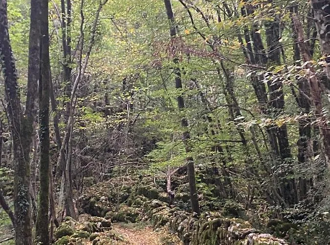 Carmen Διαμέρισμα